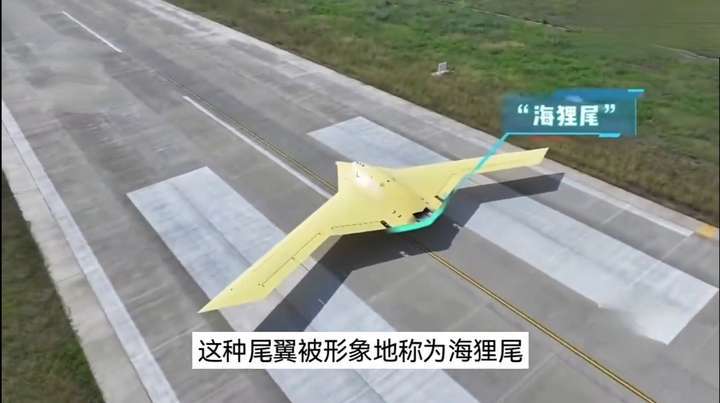知识