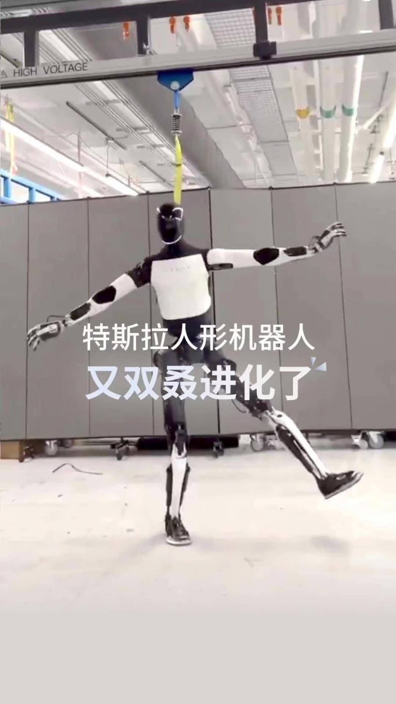 娱乐