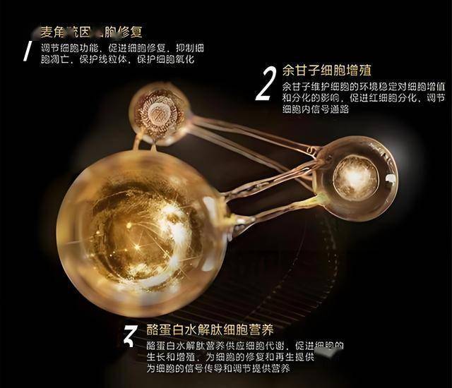 娱乐