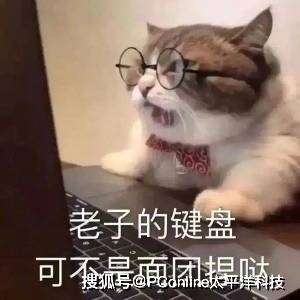 娱乐